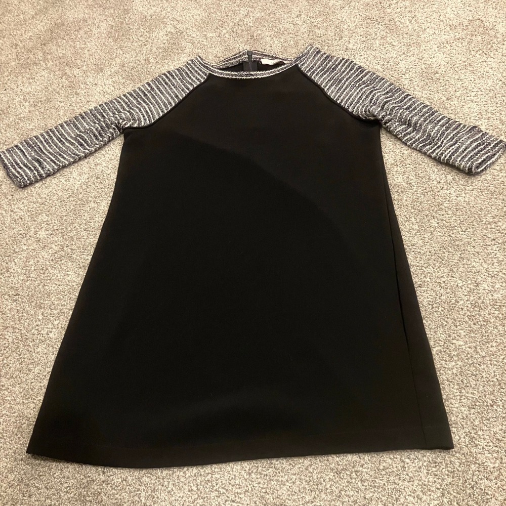 Ann Taylor LOFT Petite Black Shift Dress with Marled Knit Raglan Sleeves 10P